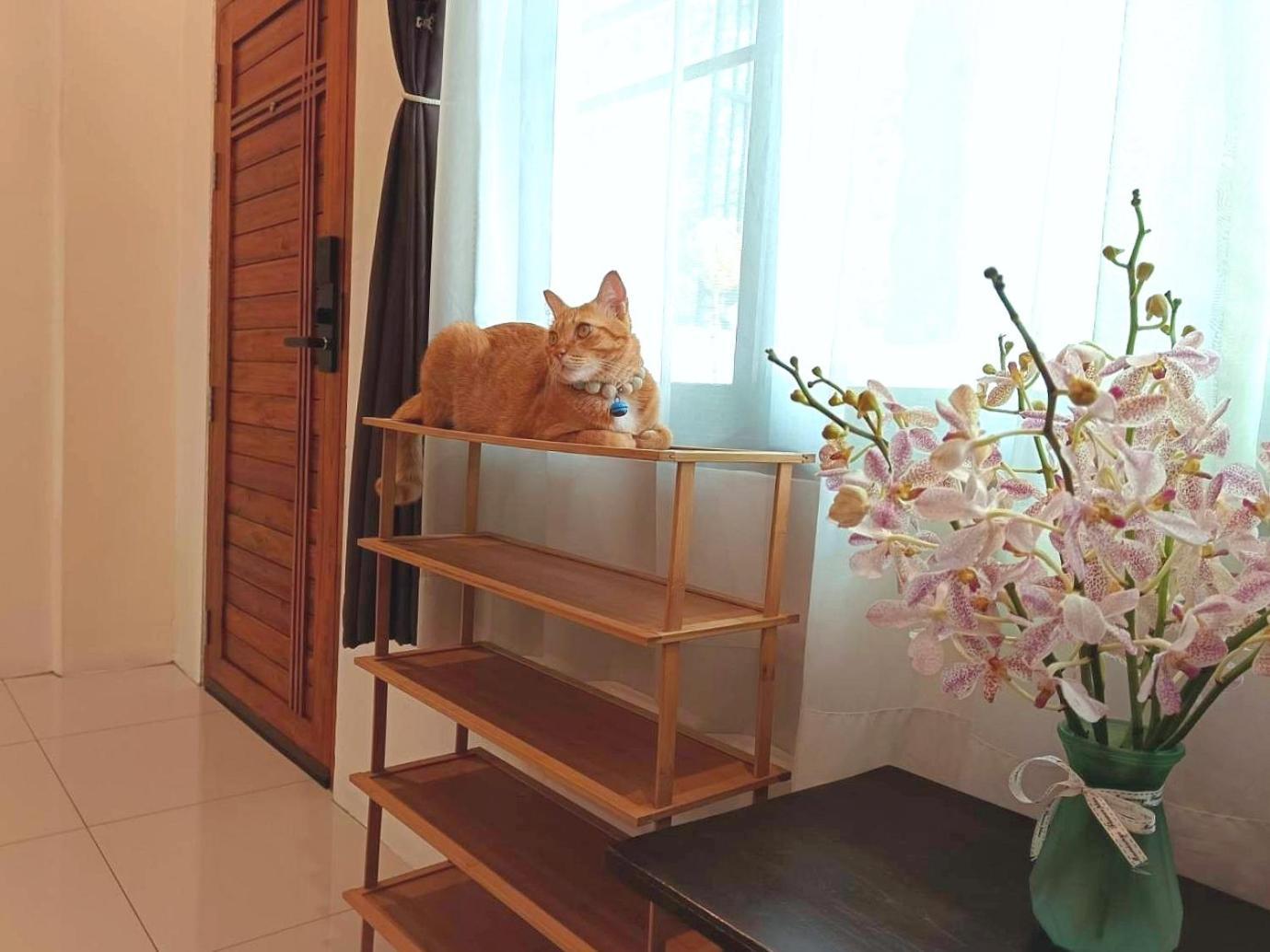 Sasima Bed And Breakfast Chiang Mai Eksteriør bilde